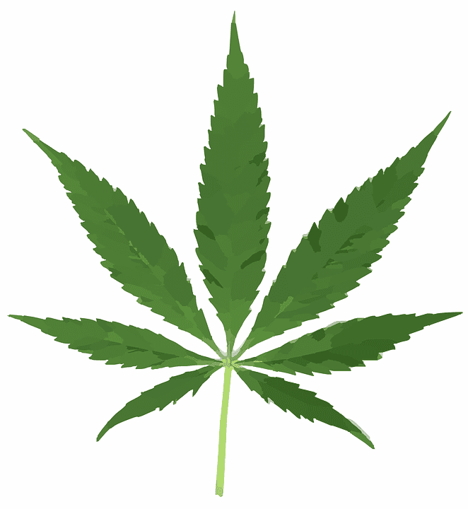 Five Canadian Insurers Recognize Marijuana Users as Non-Smokers